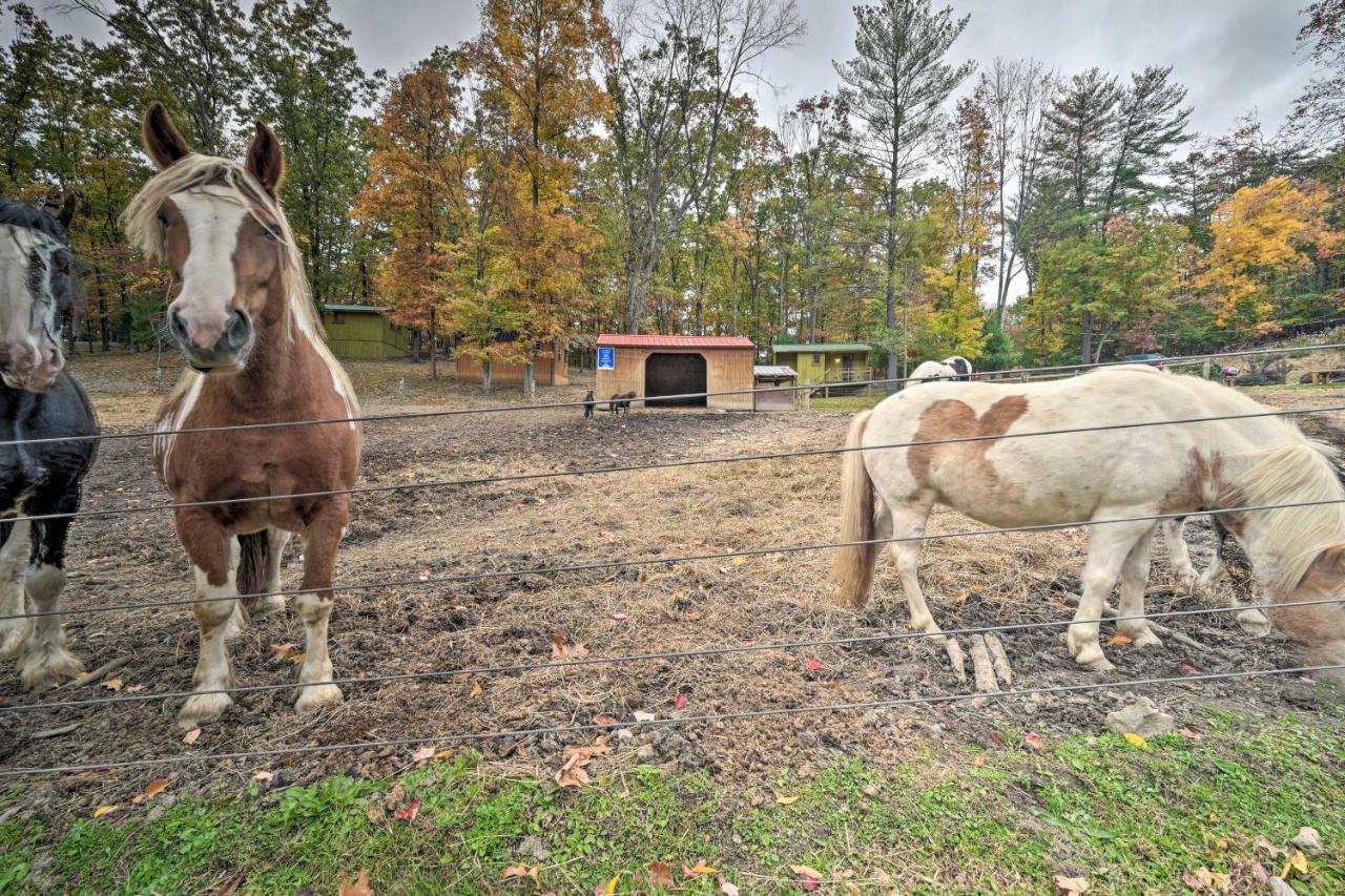 John Wayne Apartment - Deck, Bbq, Horses On-Site Huntingdon Εξωτερικό φωτογραφία
