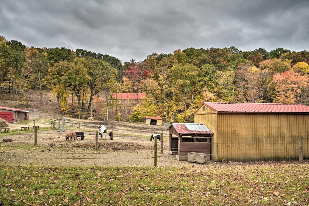 John Wayne Apartment - Deck, Bbq, Horses On-Site Huntingdon Εξωτερικό φωτογραφία